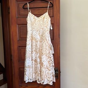 Dress the Population Dress